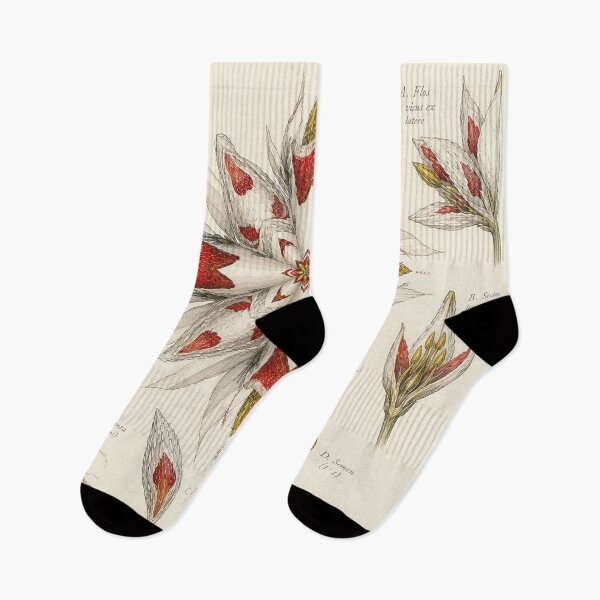 Item preview, Botanical drawing Ego Vivera Flower designed and sold by designbywhacky.