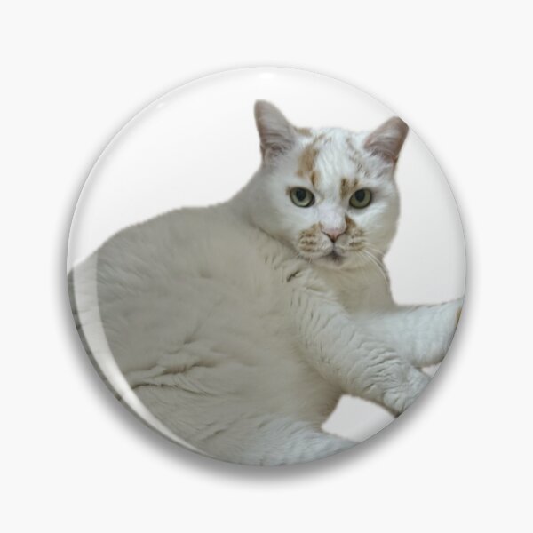 Item preview, The Judgmental Calico Boss designed and sold by Komatoya.