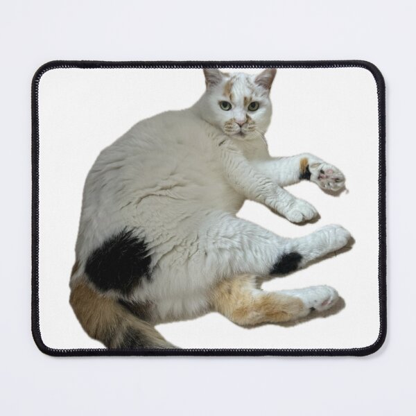 Item preview, The Judgmental Calico Boss designed and sold by Komatoya.
