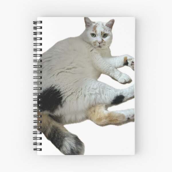 Item preview, The Judgmental Calico Boss designed and sold by Komatoya.