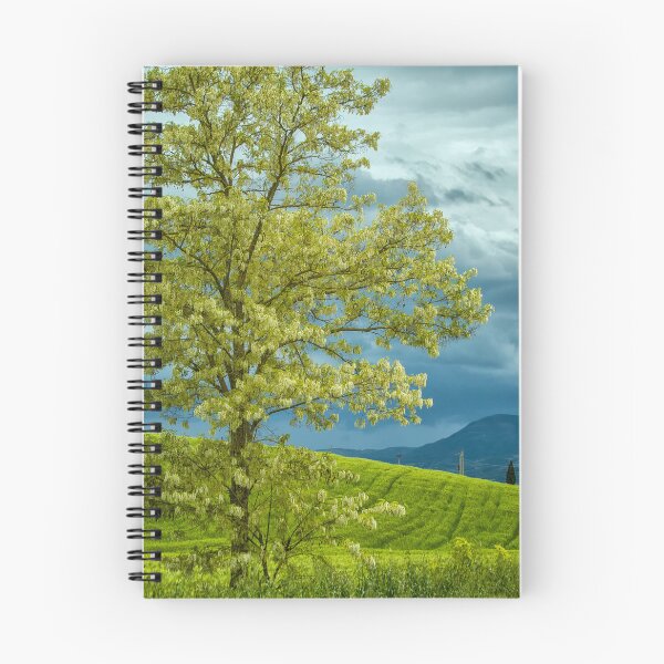 Item preview, Dark clouds in spring designed and sold by Photopat.