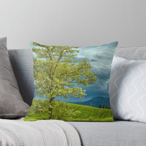 Item preview, Dark clouds in spring designed and sold by Photopat.