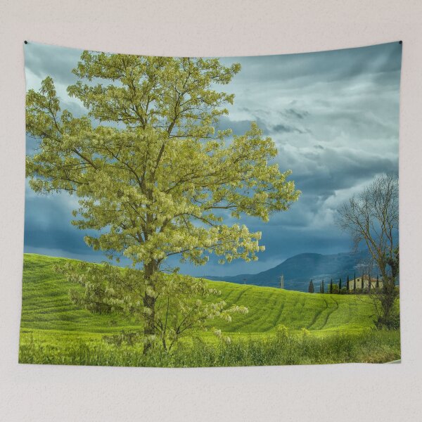 Item preview, Dark clouds in spring designed and sold by Photopat.