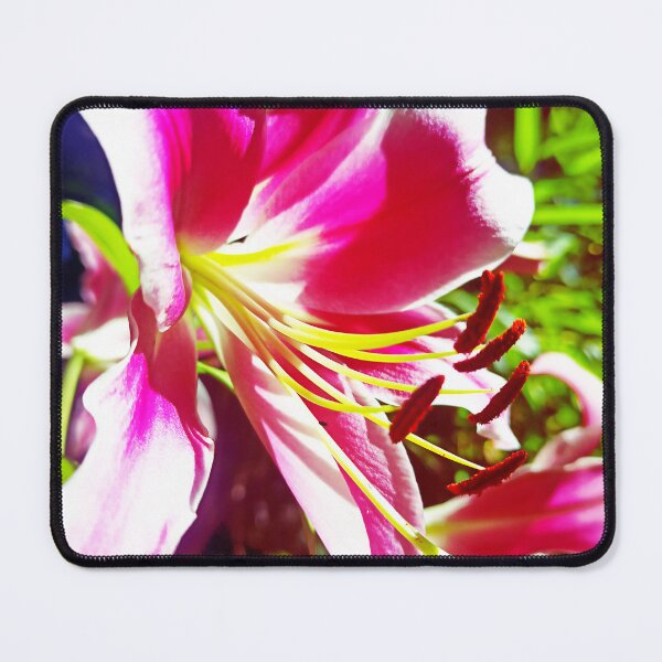 Item preview, Bright Pink Lily with Orange Stamens designed and sold by jaynerushton.