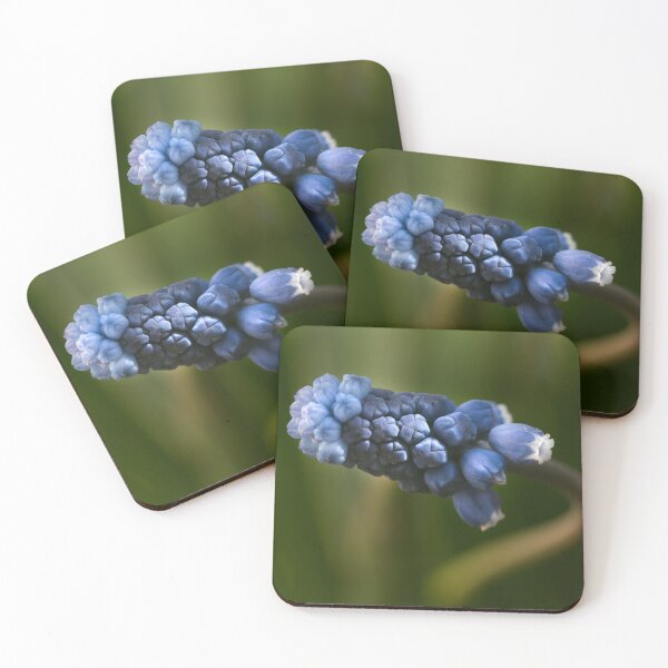 Item preview, Magical blue muscari macro with soft moody tones designed and sold by TanalyFlowers.