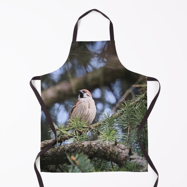 Item preview, A proud sparrow on a spruce branch. designed and sold by NaturePhotography.