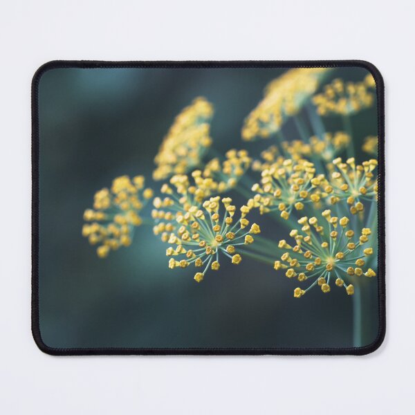 Item preview, Golden dill flowers blooming in soft evening light designed and sold by TanalyFlowers.