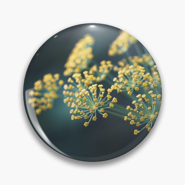 Item preview, Golden dill flowers blooming in soft evening light designed and sold by TanalyFlowers.