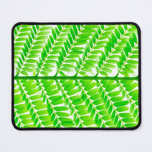 Item preview, Fresh green fern leaves pattern on white background designed and sold by TanalyFlowers.