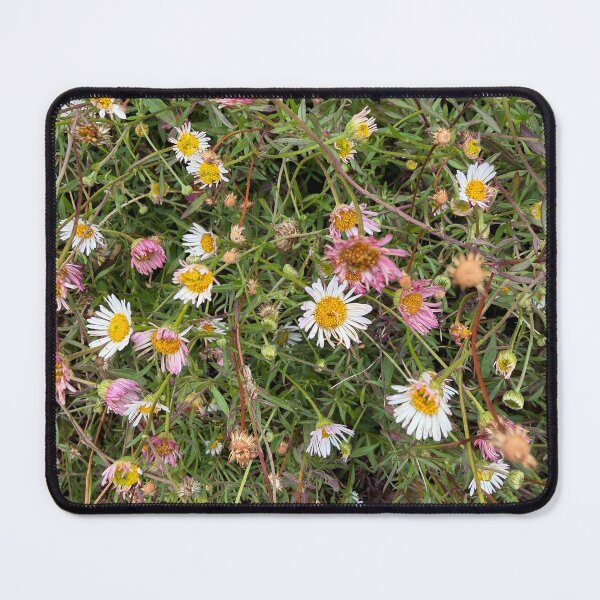 Item preview, Whispers of Wild Resilience designed and sold by Betsy Phillips.