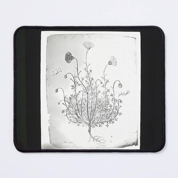 Item preview, Carnation Flower Drawing | Botanical Art designed and sold by GammaRay.