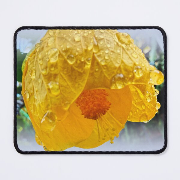 Item preview, Raindrops on Chinese Lantern designed and sold by indiafrankk.