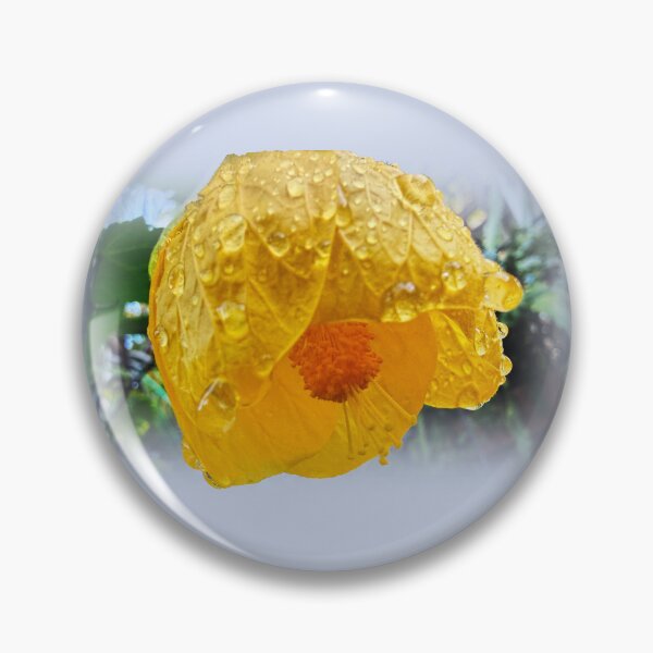 Item preview, Raindrops on Chinese Lantern designed and sold by indiafrankk.
