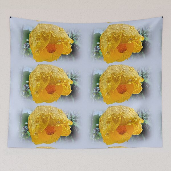 Item preview, Raindrops on Chinese Lantern designed and sold by indiafrankk.