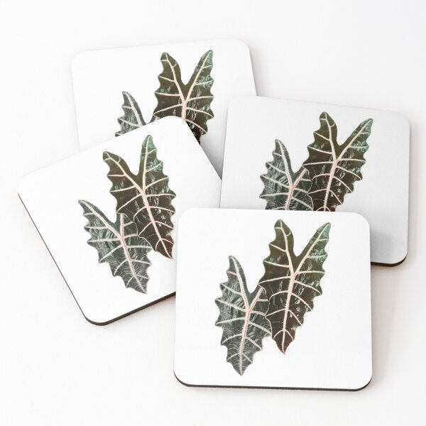 Item preview, Alocasia leaves designed and sold by Meo Design.