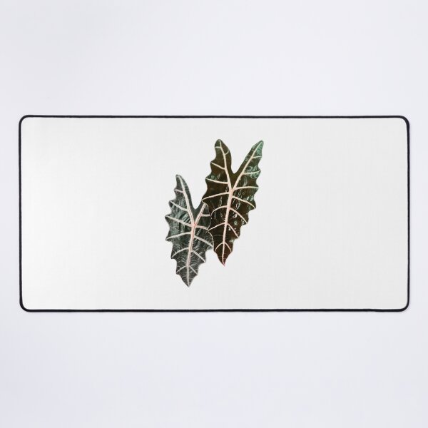 Item preview, Alocasia leaves designed and sold by Meo Design.