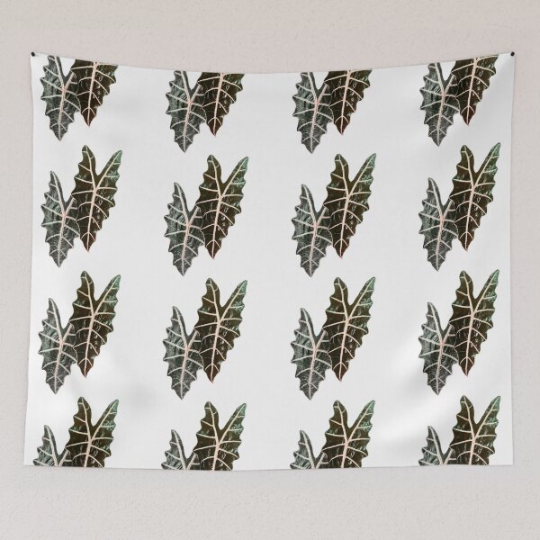 Item preview, Alocasia leaves designed and sold by Meo Design.