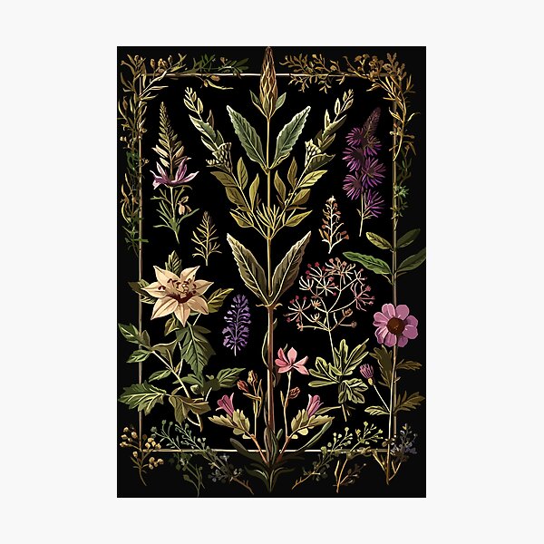 Item preview, Dark Victorian Witch Herbs designed and sold by Enyr.