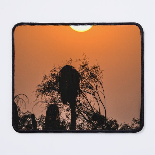 Item preview, Fiery Orange Sunset with Tree Silhouettes designed and sold by pgmodd.