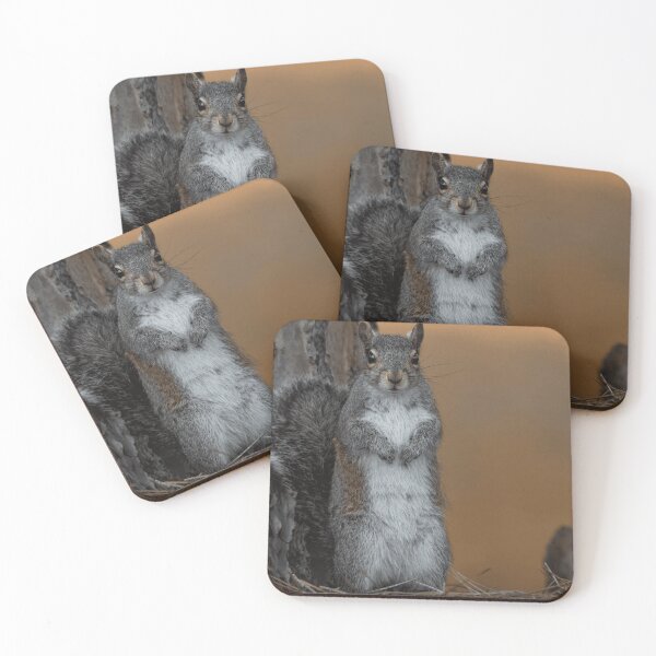 Item preview, Gray Squirrel Wildlife Nature Lover designed and sold by Drusillathwack.