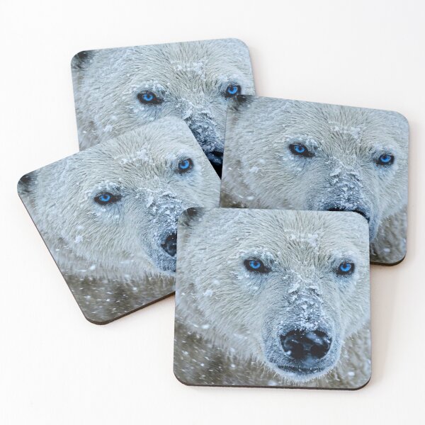 Item preview, Winter Gaze designed and sold by Bernard03.