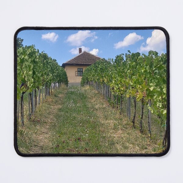 Item preview, Rustic Serbian Vineyard House designed and sold by AndaBast.