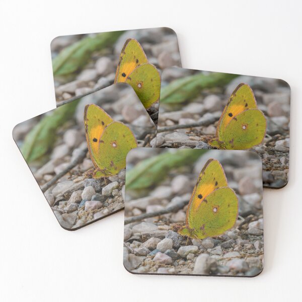 Item preview, Clouded Yellow Butterfly  designed and sold by Ralph Goldsmith.