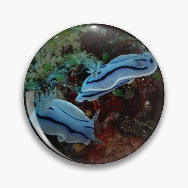 Item preview, Frosty Blue Nudibranch Pair: Miyako Ocean Art designed and sold by Mayuri Japan Studio.