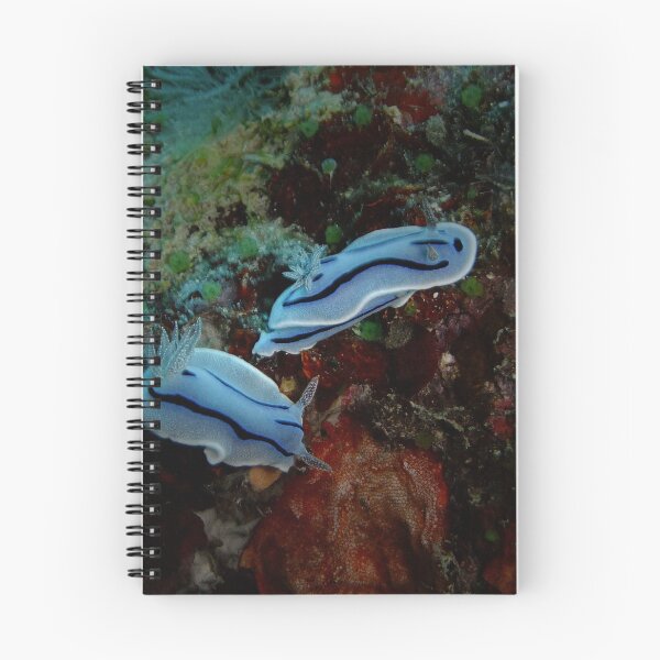 Item preview, Frosty Blue Nudibranch Pair: Miyako Ocean Art designed and sold by Mayuri Japan Studio.