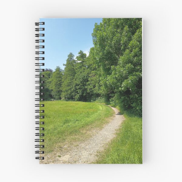Item preview, Sunny Forest Path Nature Photography | Green Meadow Landscape Aesthetic designed and sold by PhuongVoArt.