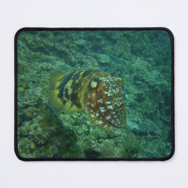 Item preview, Intense Cuttlefish: Ishigaki Deep Reef Camouflage designed and sold by Mayuri Japan Studio.