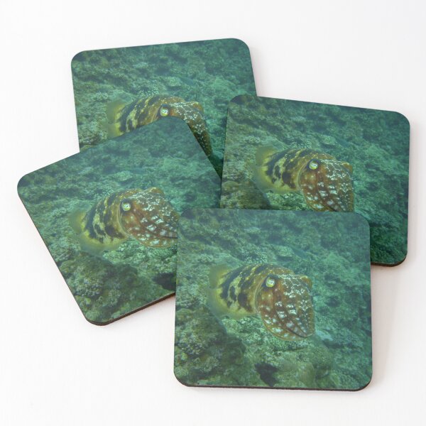 Item preview, Intense Cuttlefish: Ishigaki Deep Reef Camouflage designed and sold by Mayuri Japan Studio.