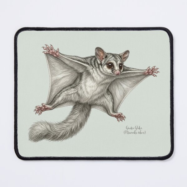 Item preview, Ghost of the Canopy: Greater Glider (Petauroides volans) Dramatic Botanical Print designed and sold by FreiherrPK.