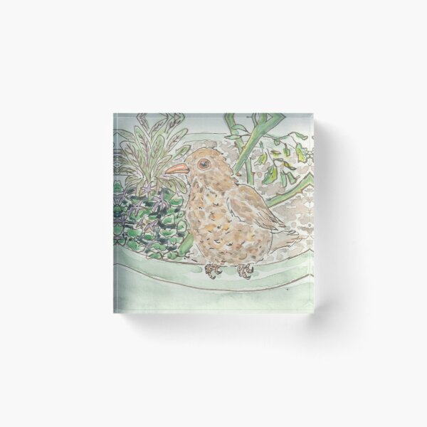 Artikelvorschau, Amsel auf einem Topf entworfen und verkauft von GiselleSellier.