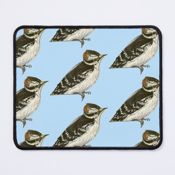 Item preview, Downy Woodpecker - simple blue background designed and sold by woodland-towers.