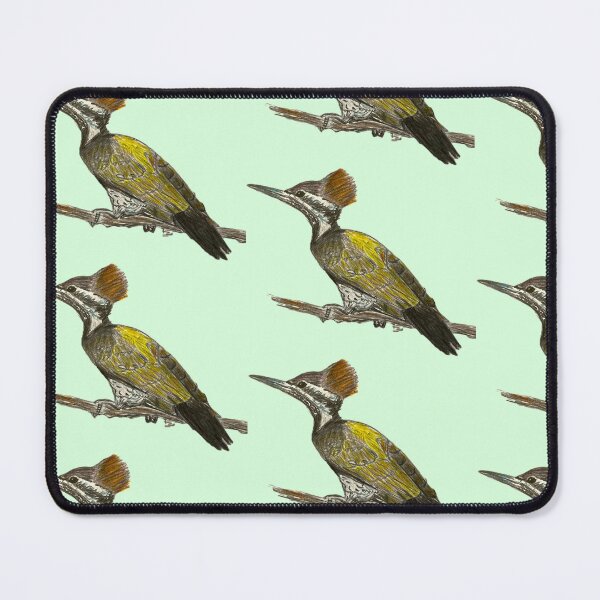 Item preview, Golden-backed Woodpecker - simple green background designed and sold by woodland-towers.