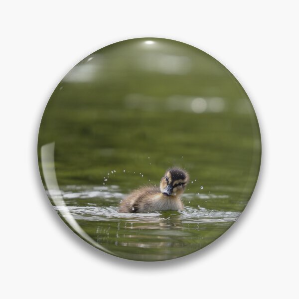 Item preview, Duckling splashing in water designed and sold by jobrownphotog.