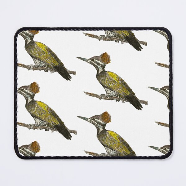 Item preview, Golden-backed Woodpecker designed and sold by woodland-towers.