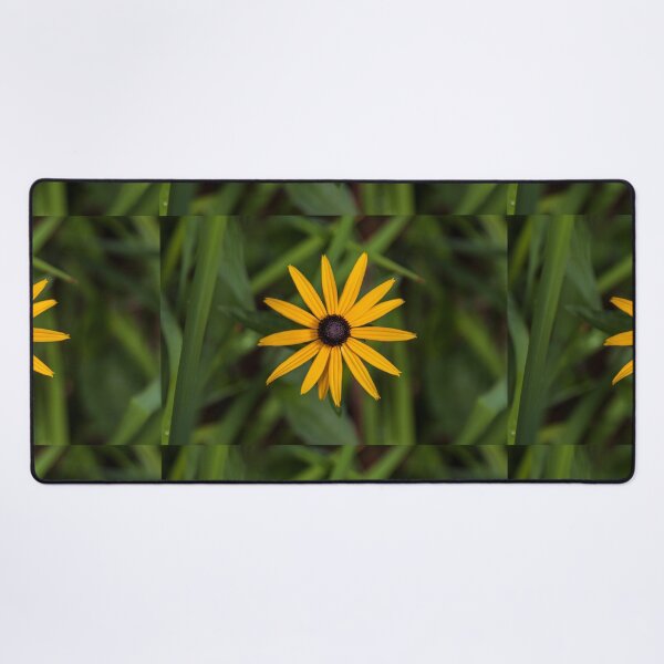 Item preview, Black Eyed Susan in Summer Garden designed and sold by SchelzHorizons.