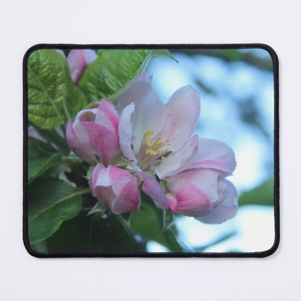 Item preview, Soft Pink Blossom Buds – Dreamy Spring Macro Photography designed and sold by Cha-s-lens.