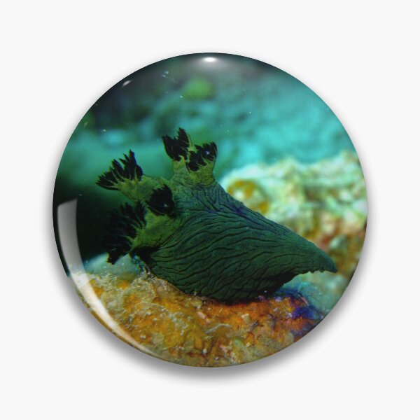 Item preview, Dark Cyber Nudibranch: Ishigaki Ocean Art designed and sold by Mayuri Japan Studio.