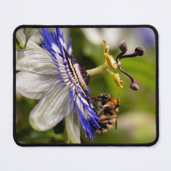 Item preview, Bee Waving Hello designed and sold by jobrownphotog.