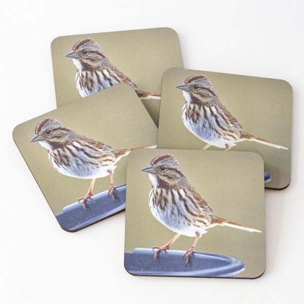 Item preview, Song Sparrow Perched on Bird Feeder designed and sold by AMacGPhilly.
