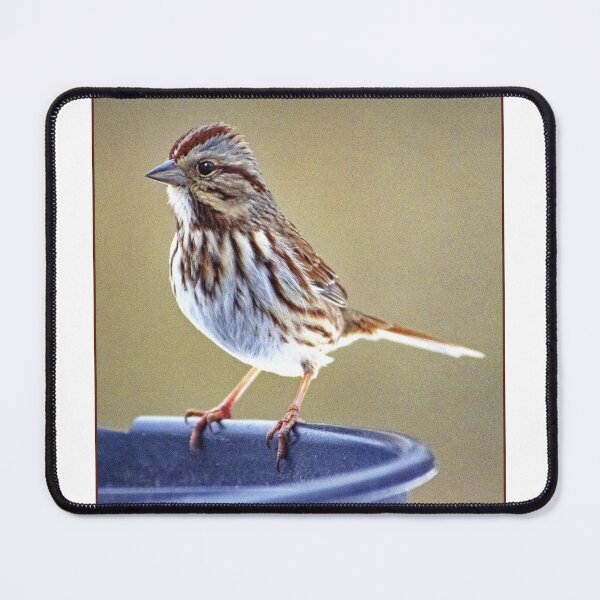 Item preview, Song Sparrow Perched on Bird Feeder designed and sold by AMacGPhilly.