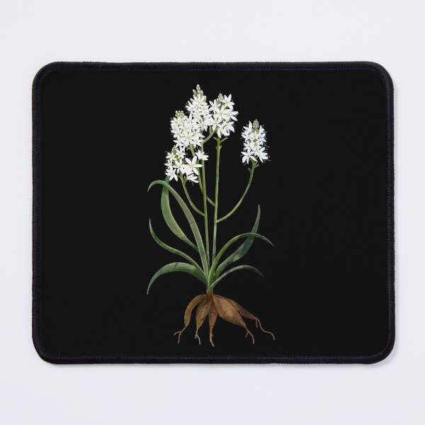 Item preview, Asphodel Flower designed and sold by katherineblower.
