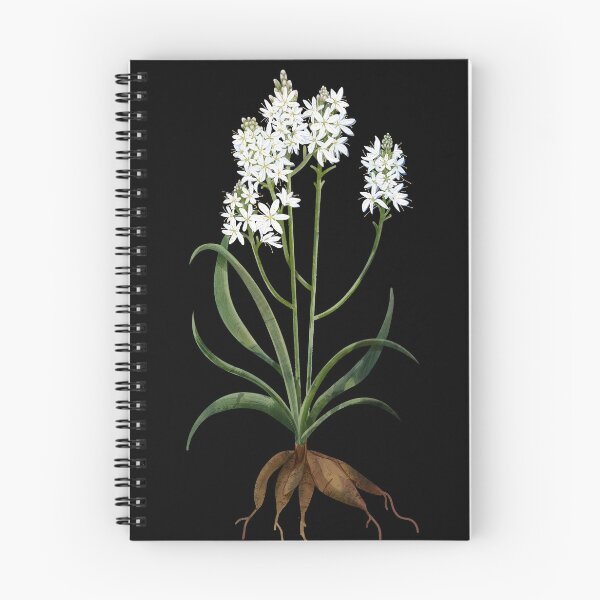 Item preview, Asphodel Flower designed and sold by katherineblower.