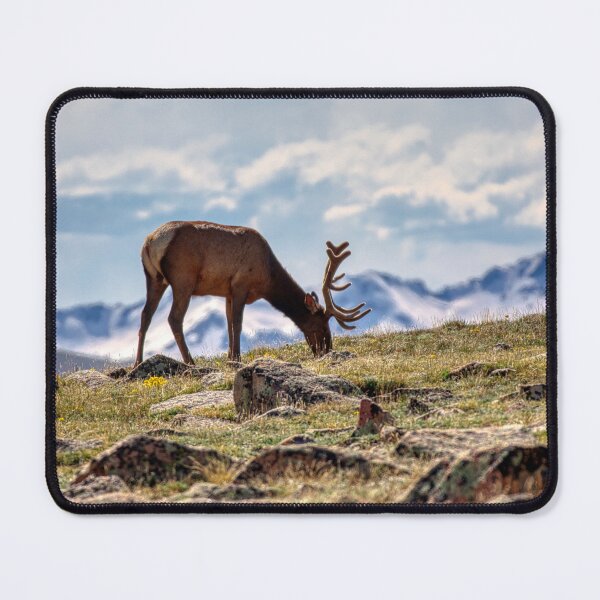 Item preview, Rocky Mountain Elk designed and sold by FrankEvansPix.