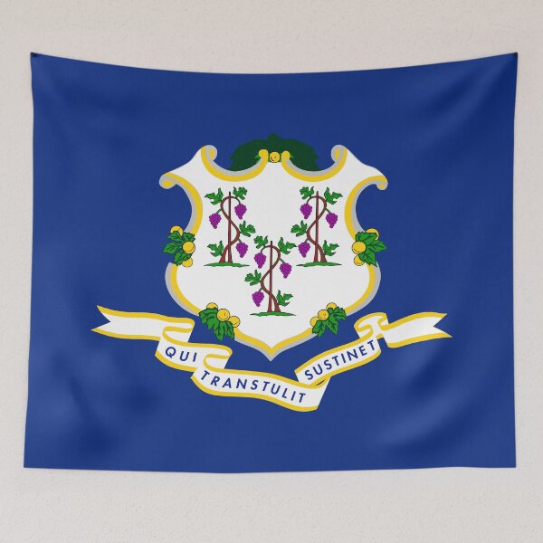 Item preview, Connecticut State Flag CT designed and sold by shitpostee.