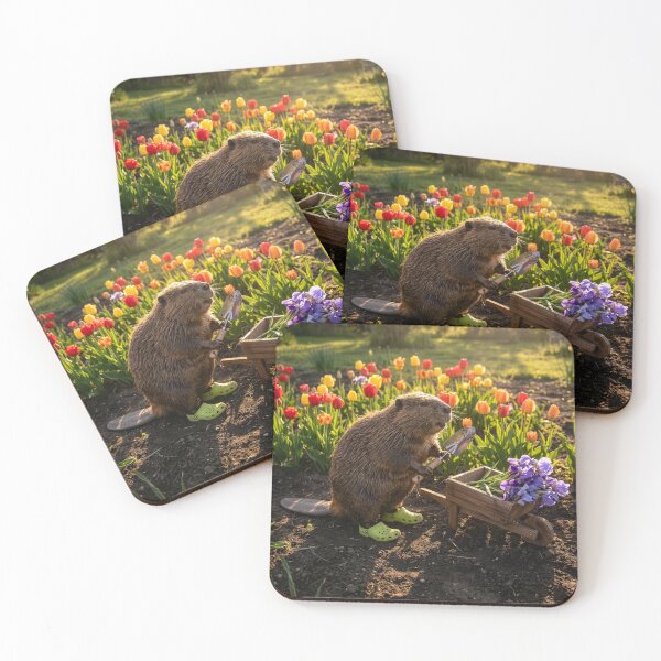 Item preview, Gardening Beaver Collects Irises and Tulips designed and sold by Tridentulus.