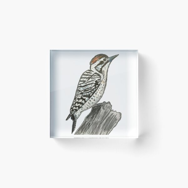 Item preview, Ladder-backed Woodpecker designed and sold by woodland-towers.